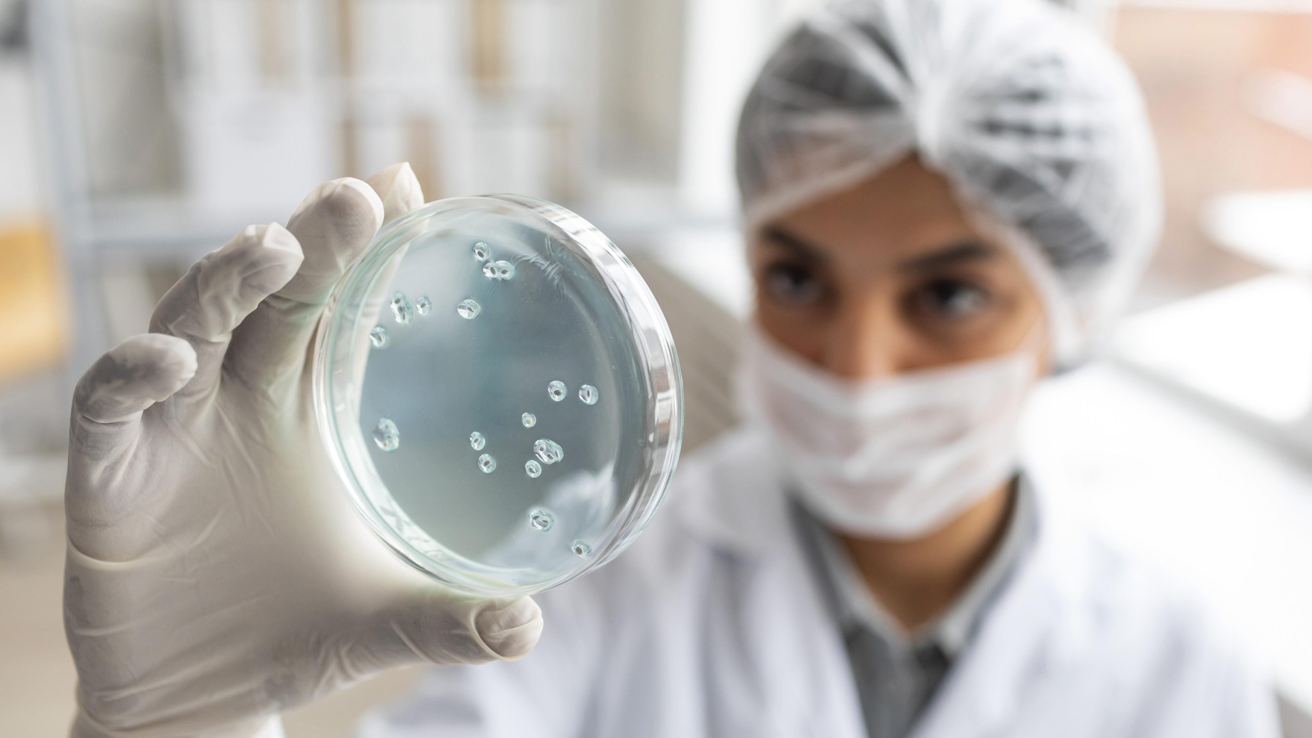 Immunologia e allergologia